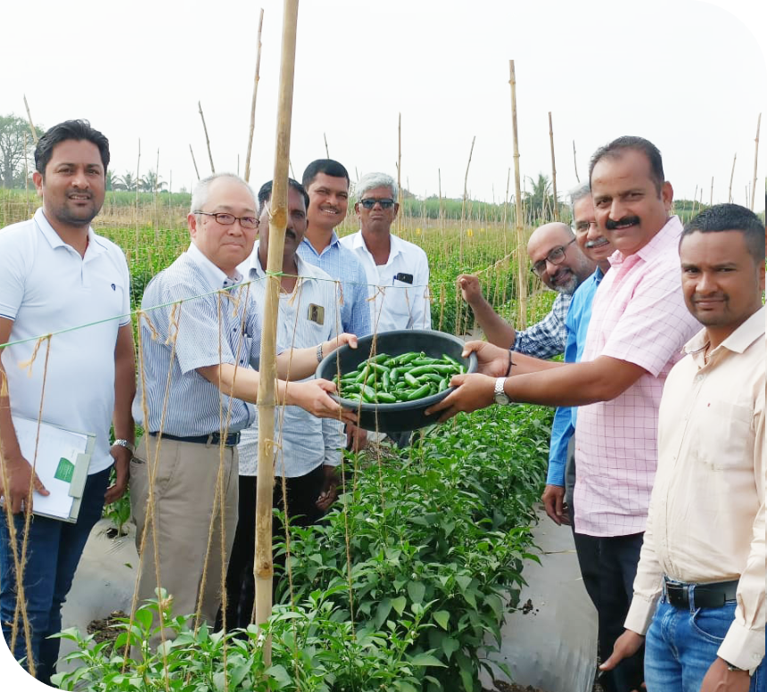 Market Access & Value Chain  Development